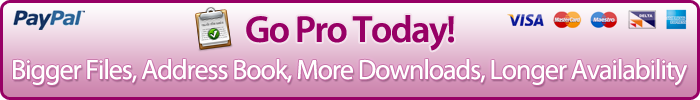 Pro Account Signup